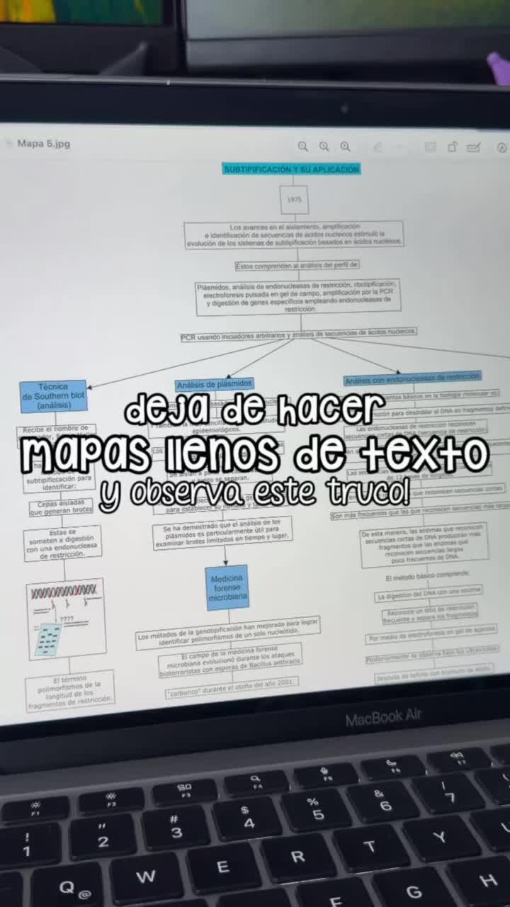 @samxnthastudy