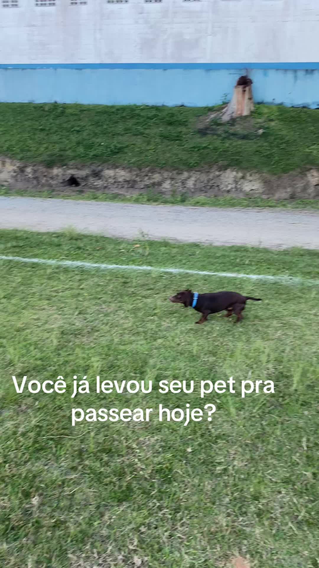 @Naná Marques