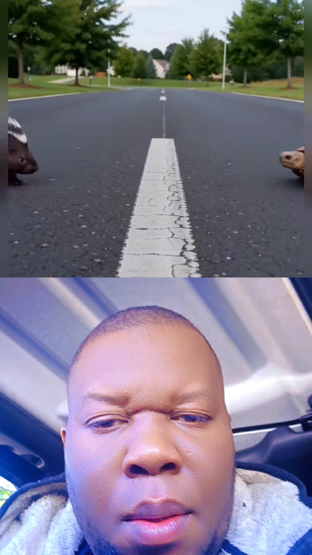 @Dodo
