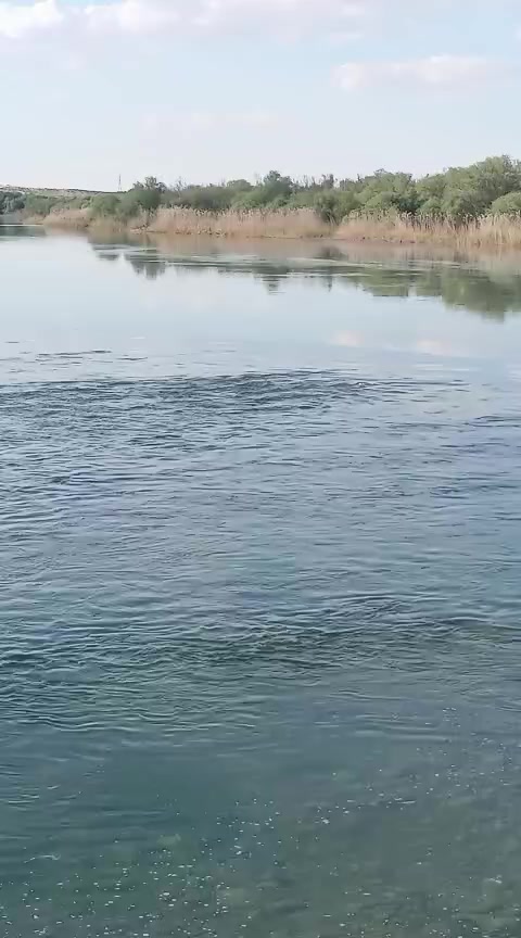 @Hacı Kocaaslan