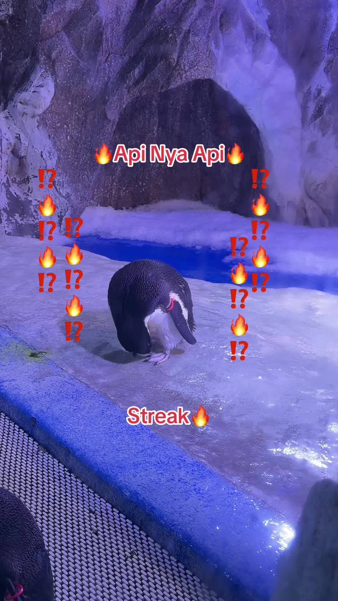 @Chuppy