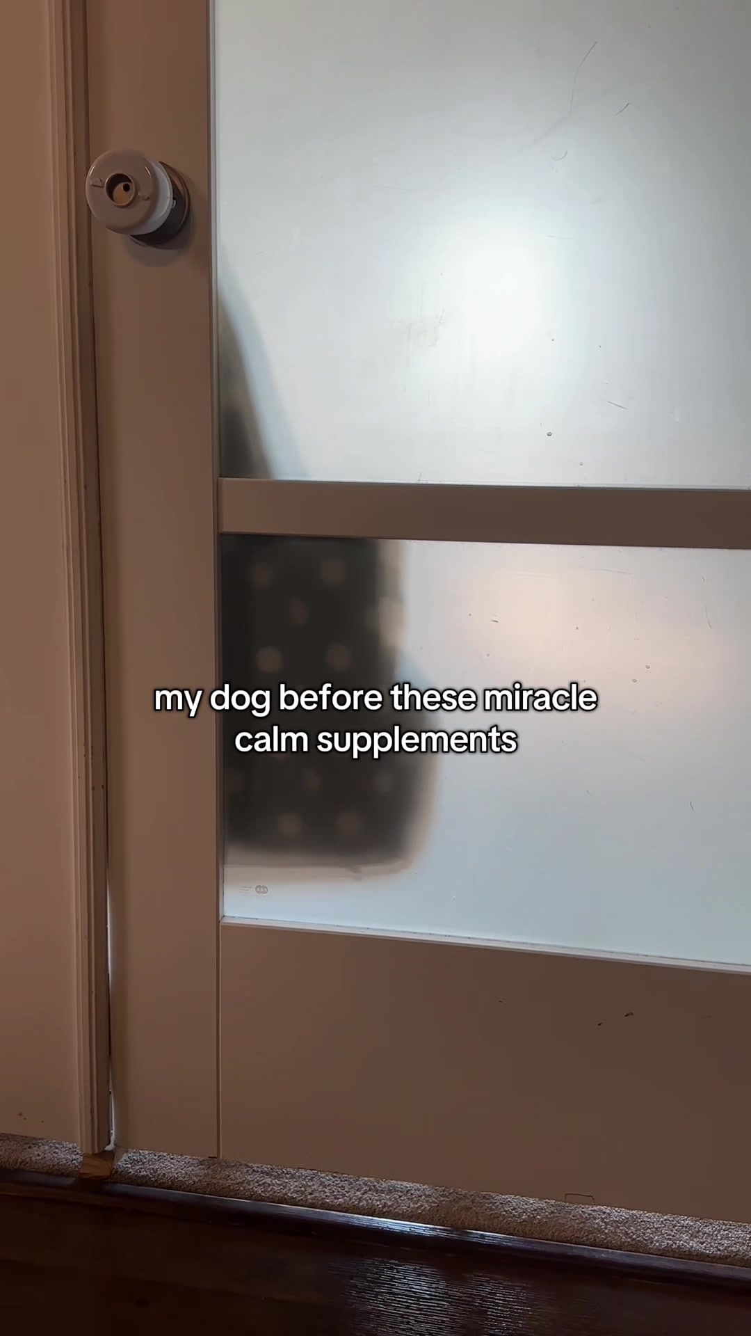 @Native Pet