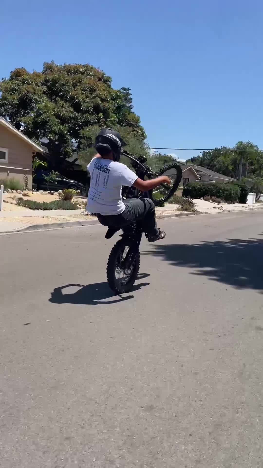 @48v_maxx alt