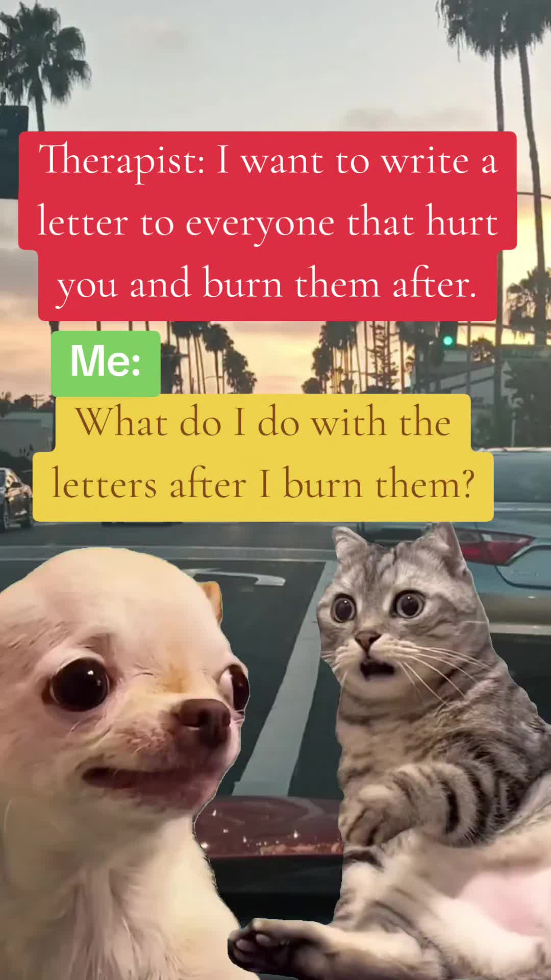 @๐WO SHI CUBANHARMONY ๐