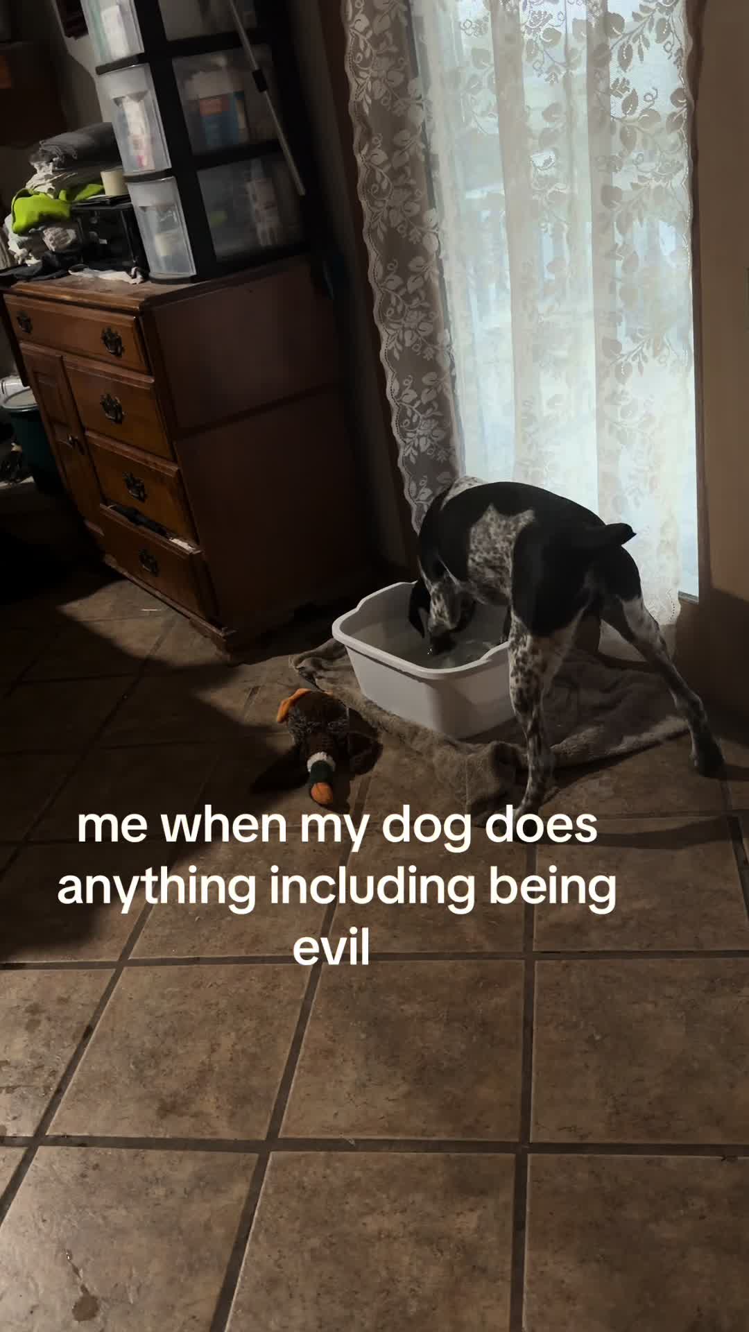 @ken