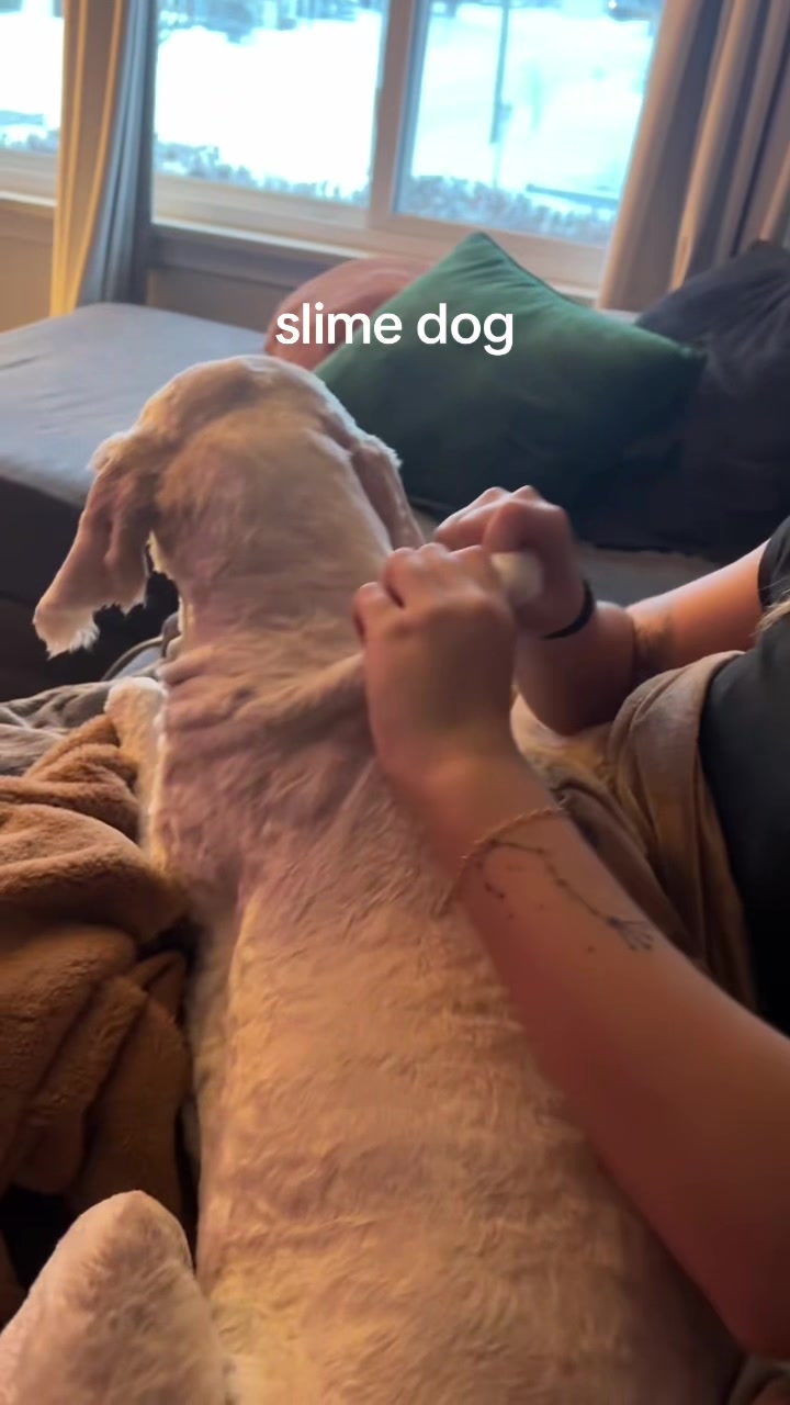 @ryleemarieeeeee