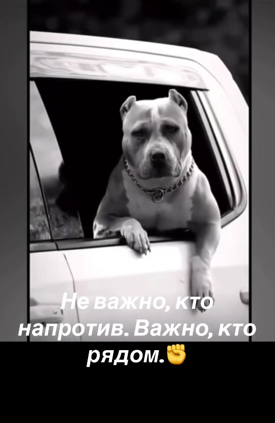@катя1489