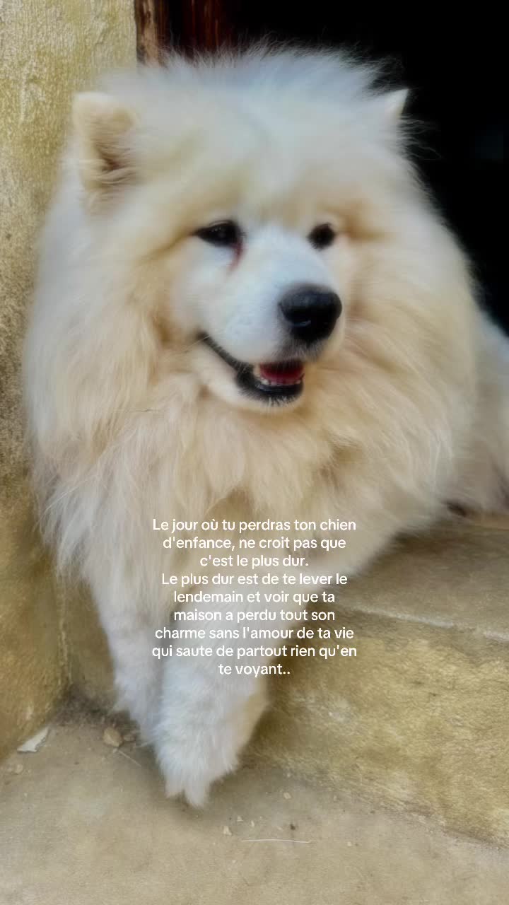 @𝟐𝟐𝟐