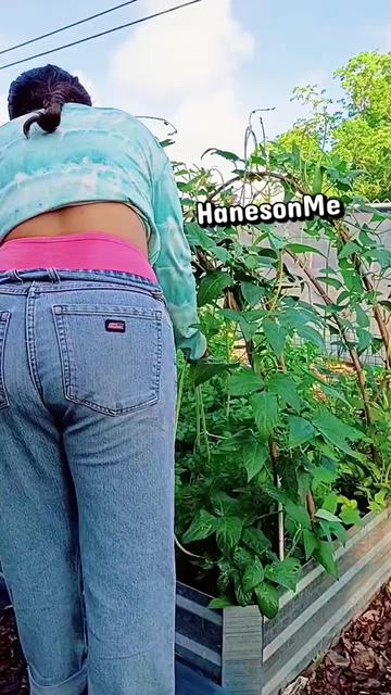 @HanesonMe