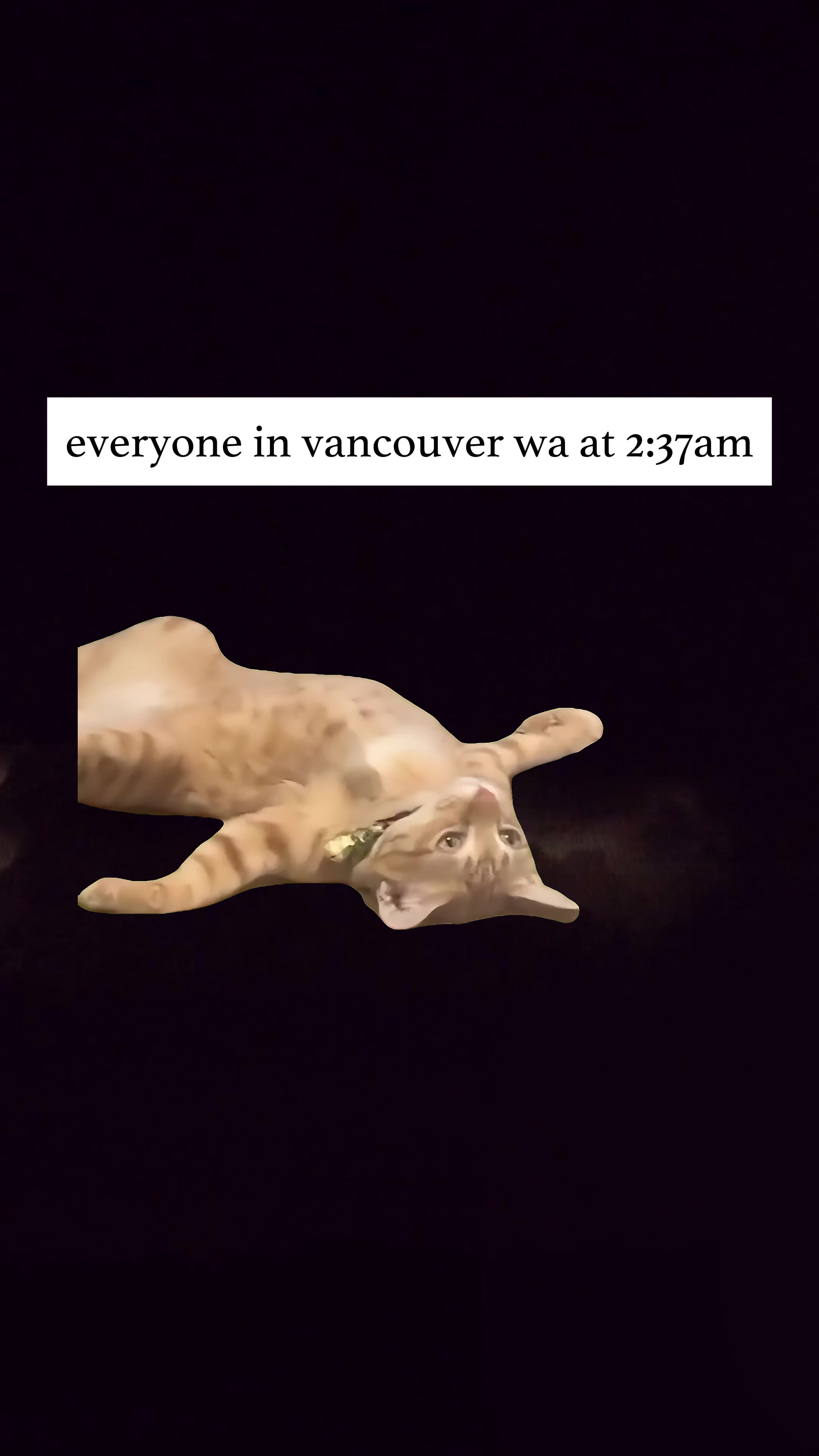 @The PNW Report (Vancouver)