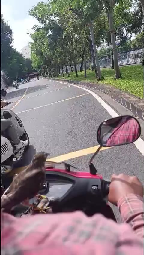 @Hải Phan