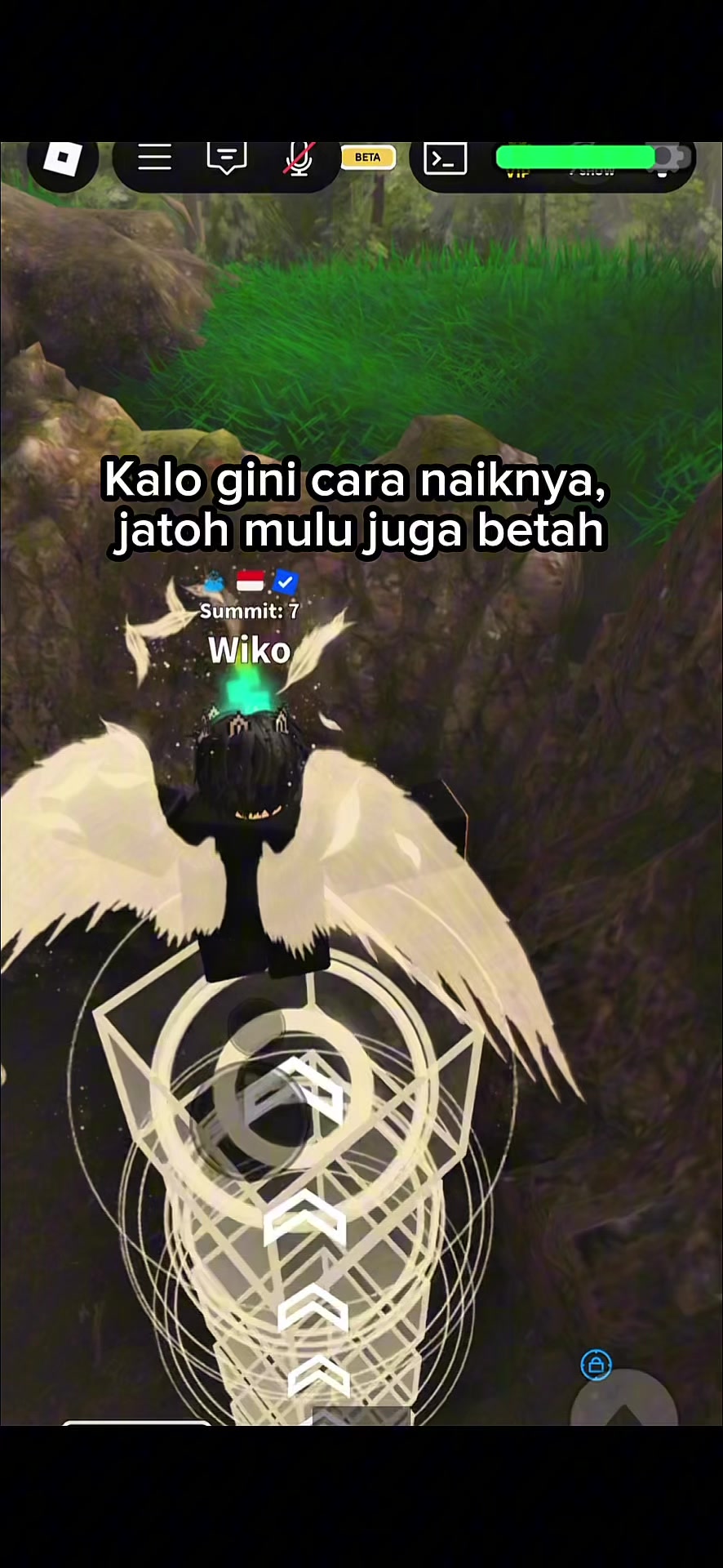 @Wiko