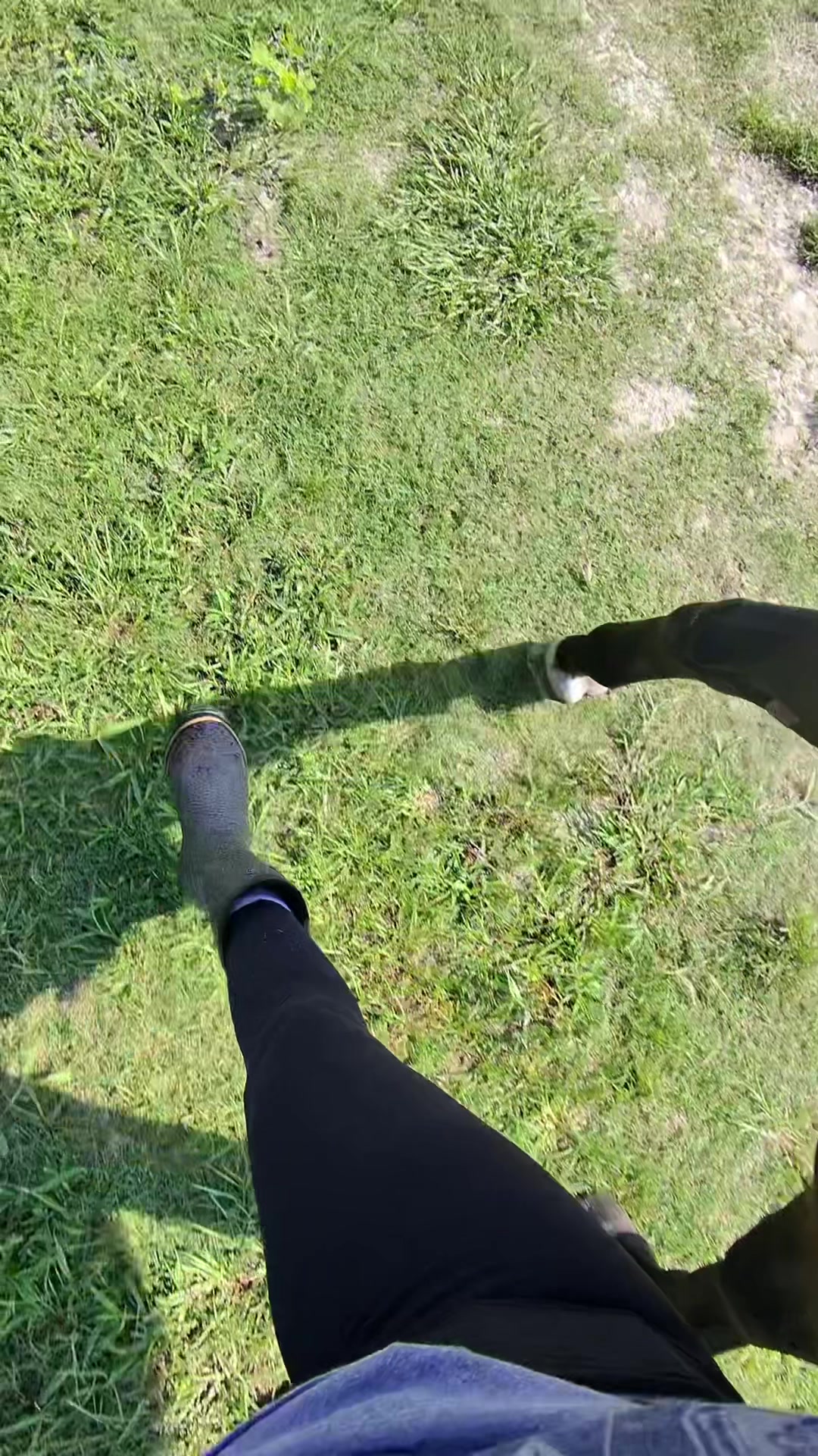 @Lacy & Shooter the OTTB