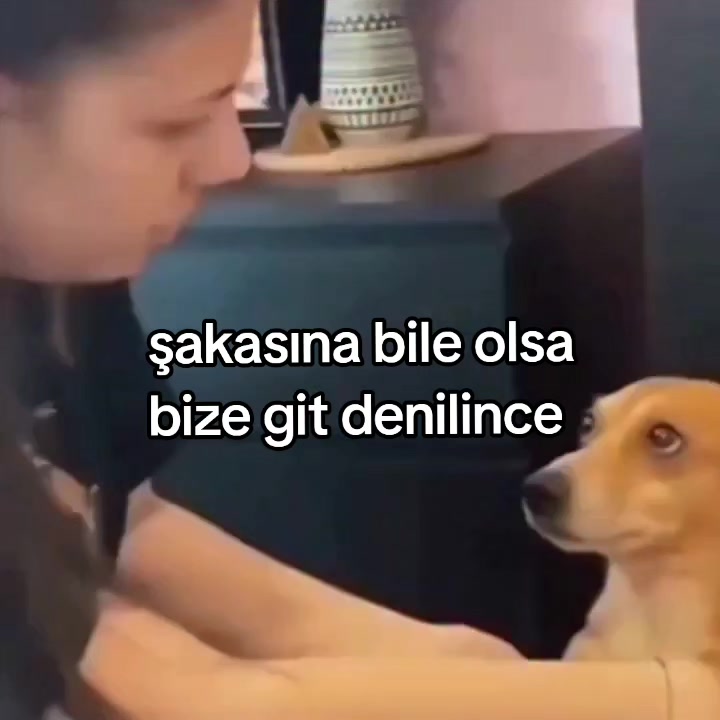 @rolland