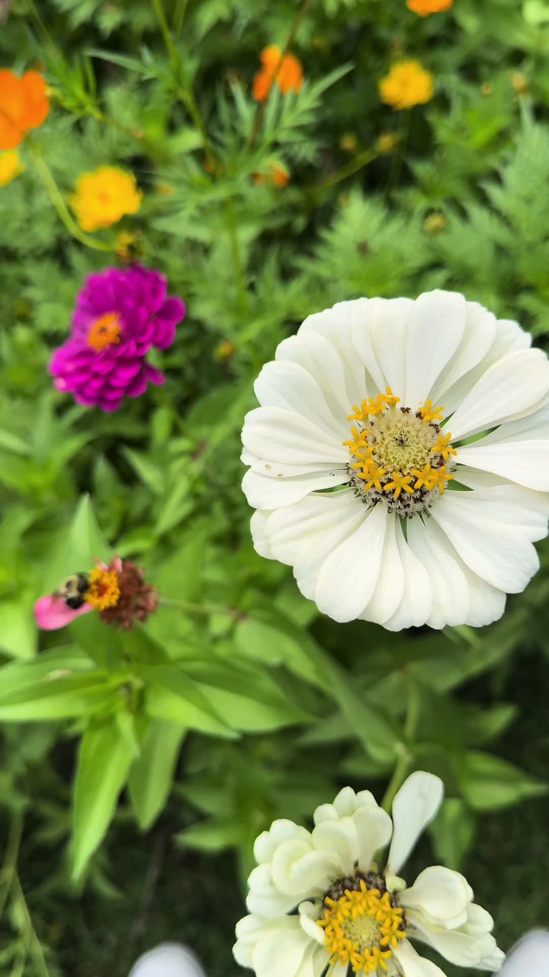@plantsbyfern