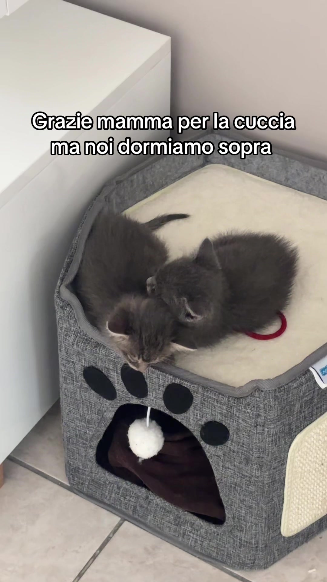 @Naomi 🌙