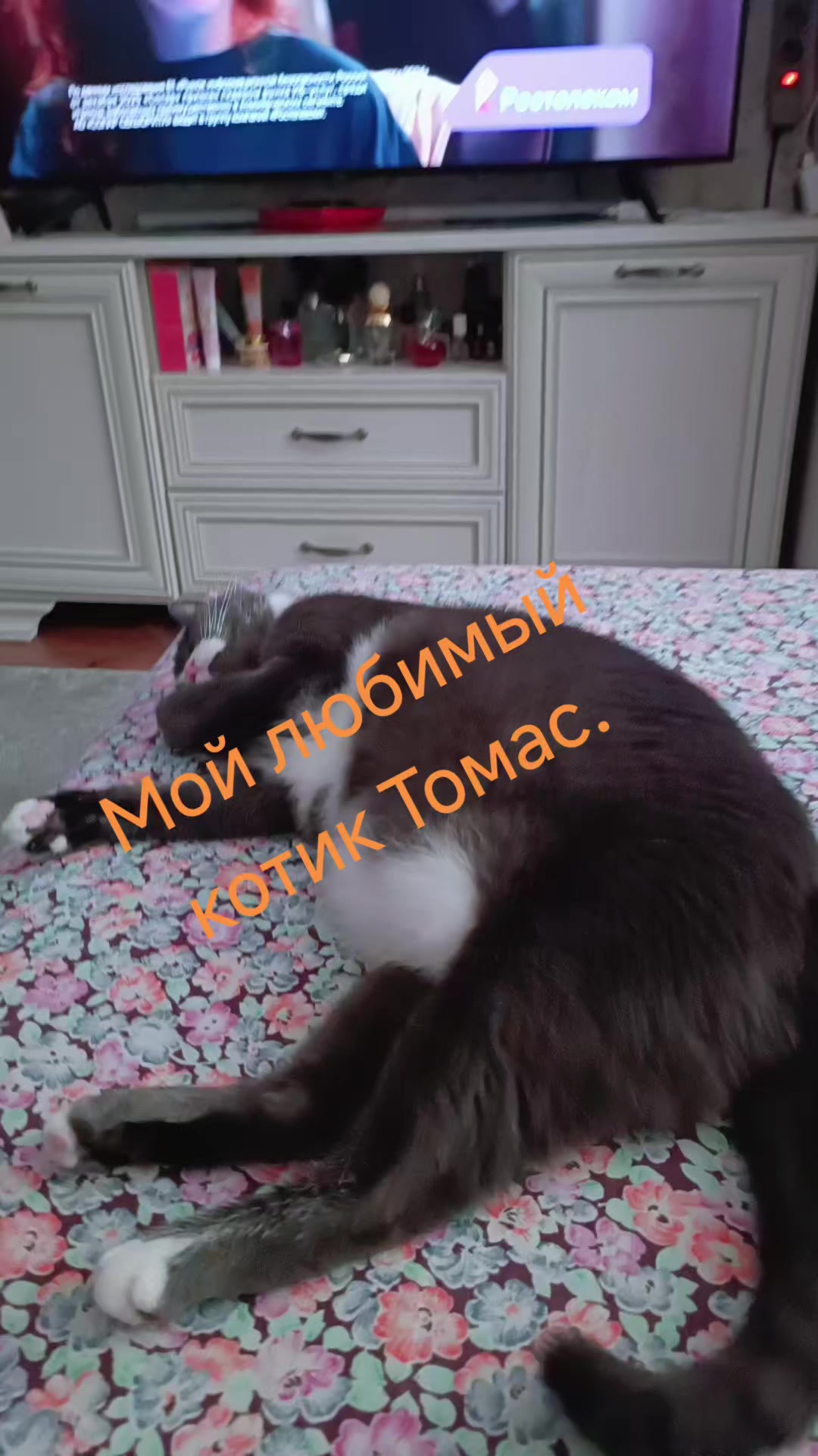 @MamaZina71
