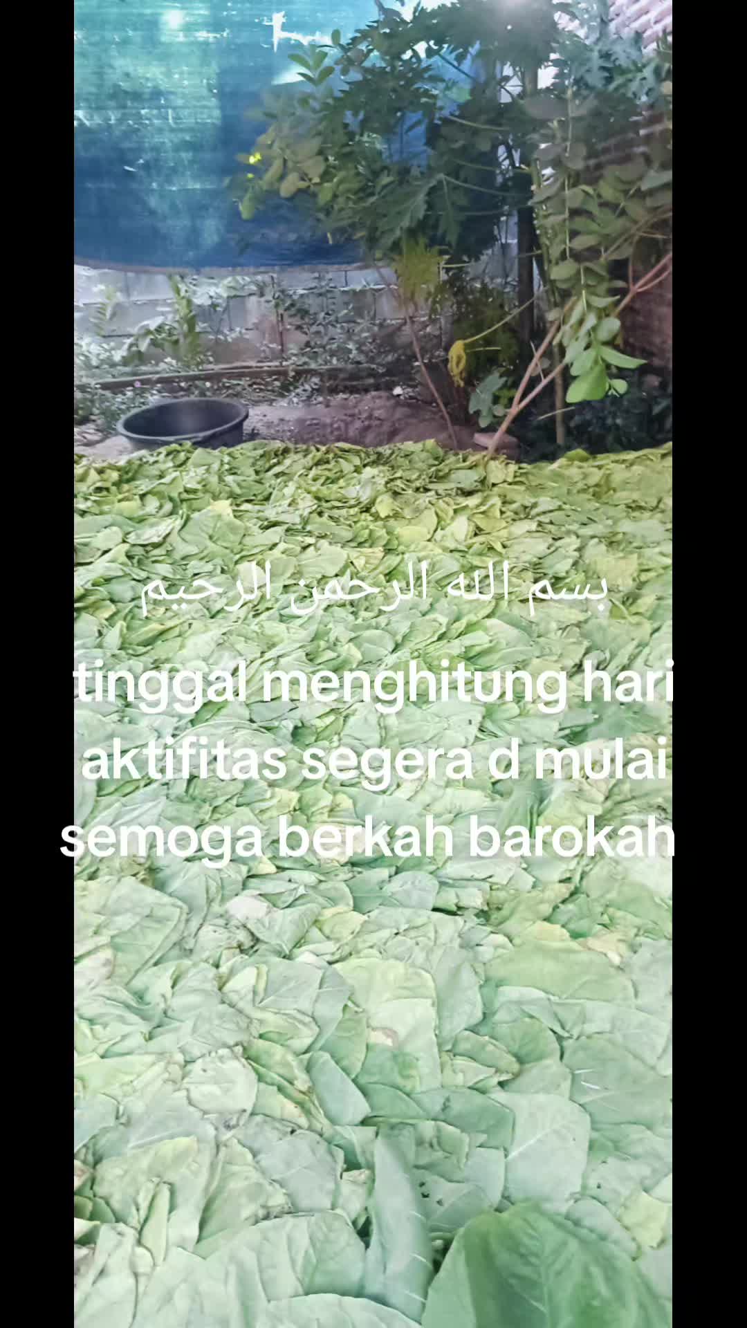 @Farfel