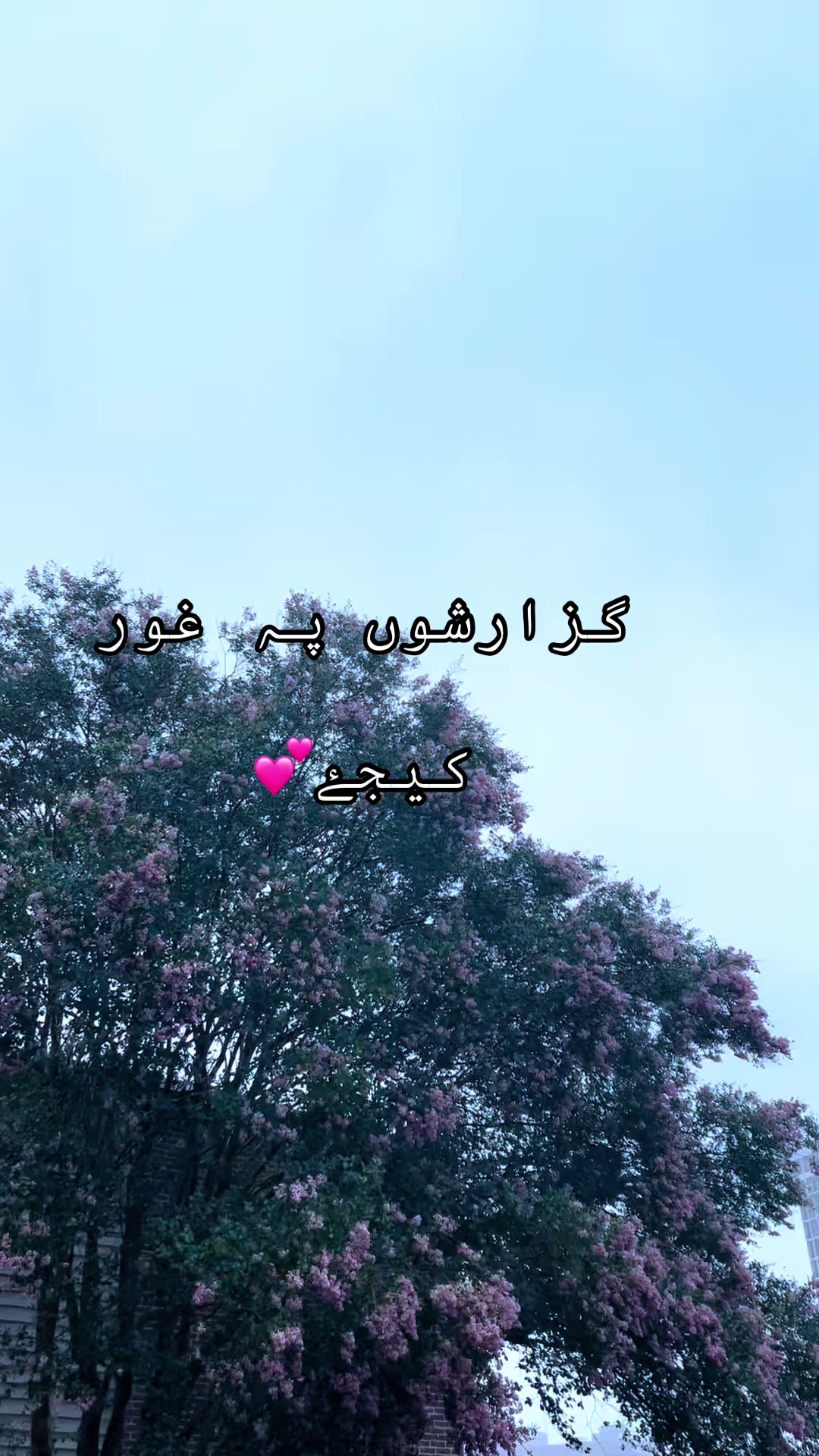 @ZaraHayat020104