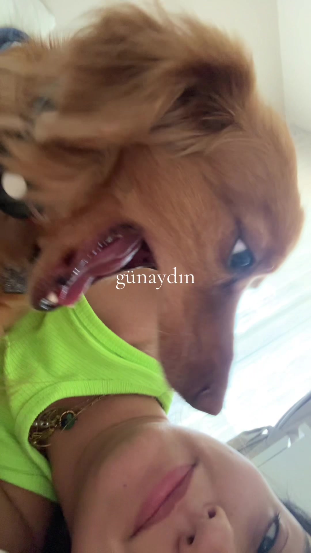 @şev🪷
