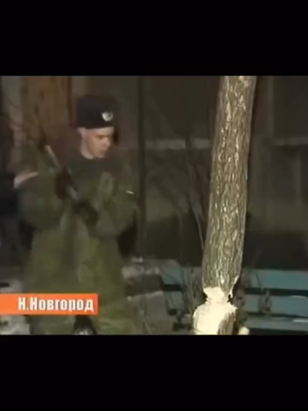 @окей гугл