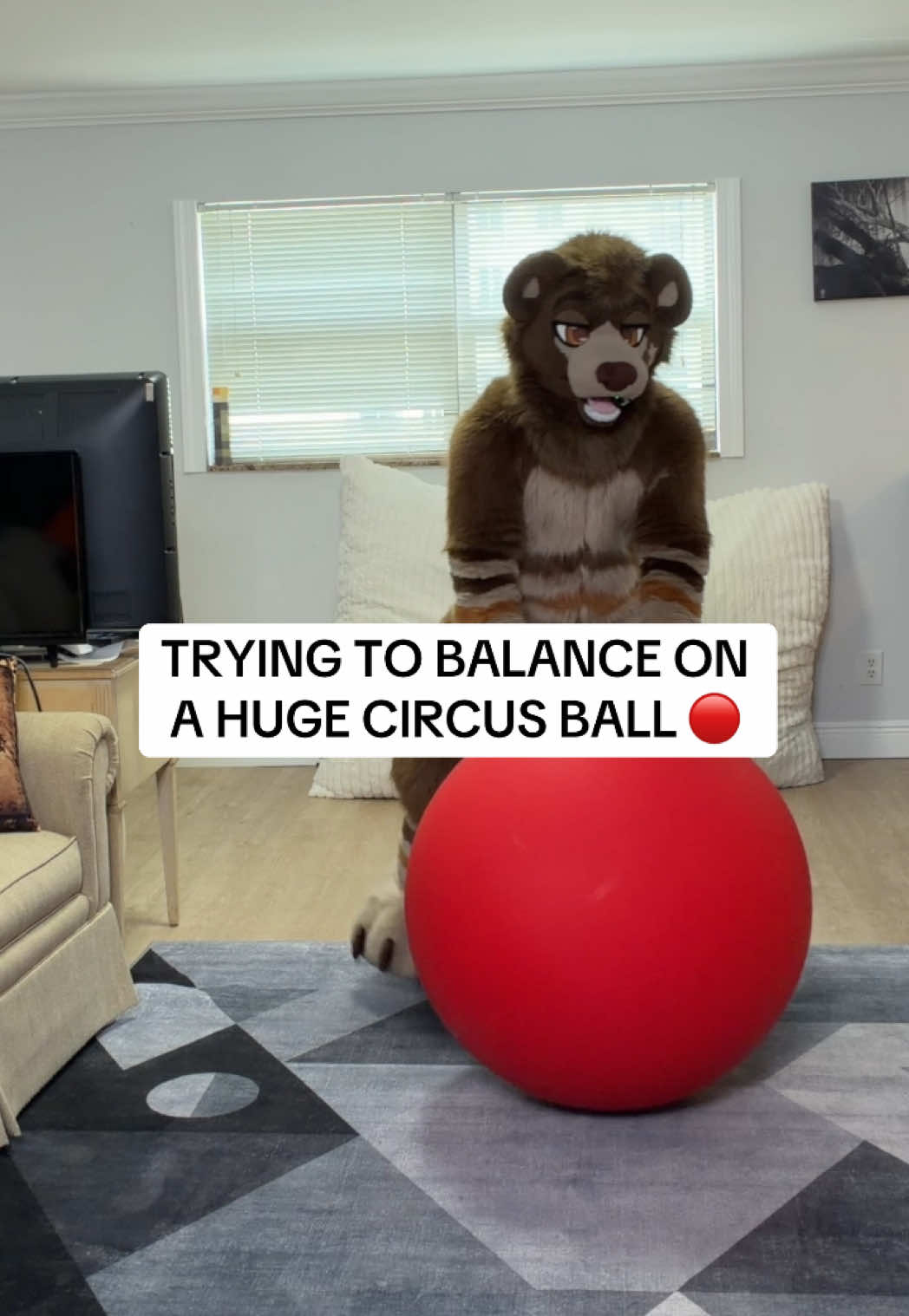 @Boof