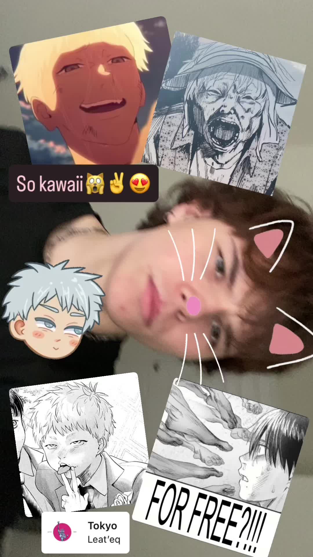 @⋆。✩ 𝒟𝒾𝓁𝓁𝓎°✮⋆˙