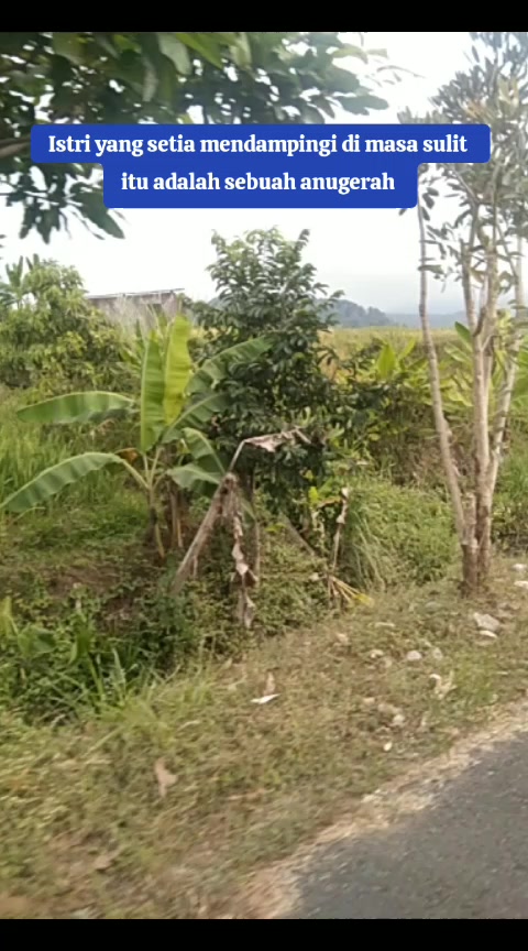 @💌Vega Bestari 🇮🇩