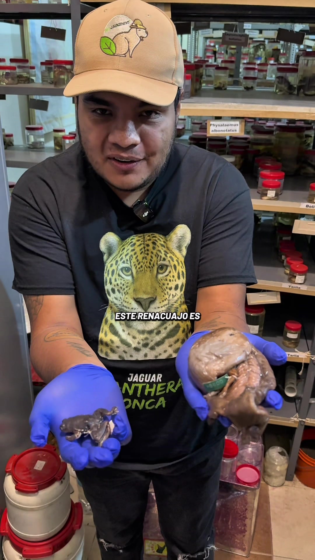@Jair Herrera 🐆