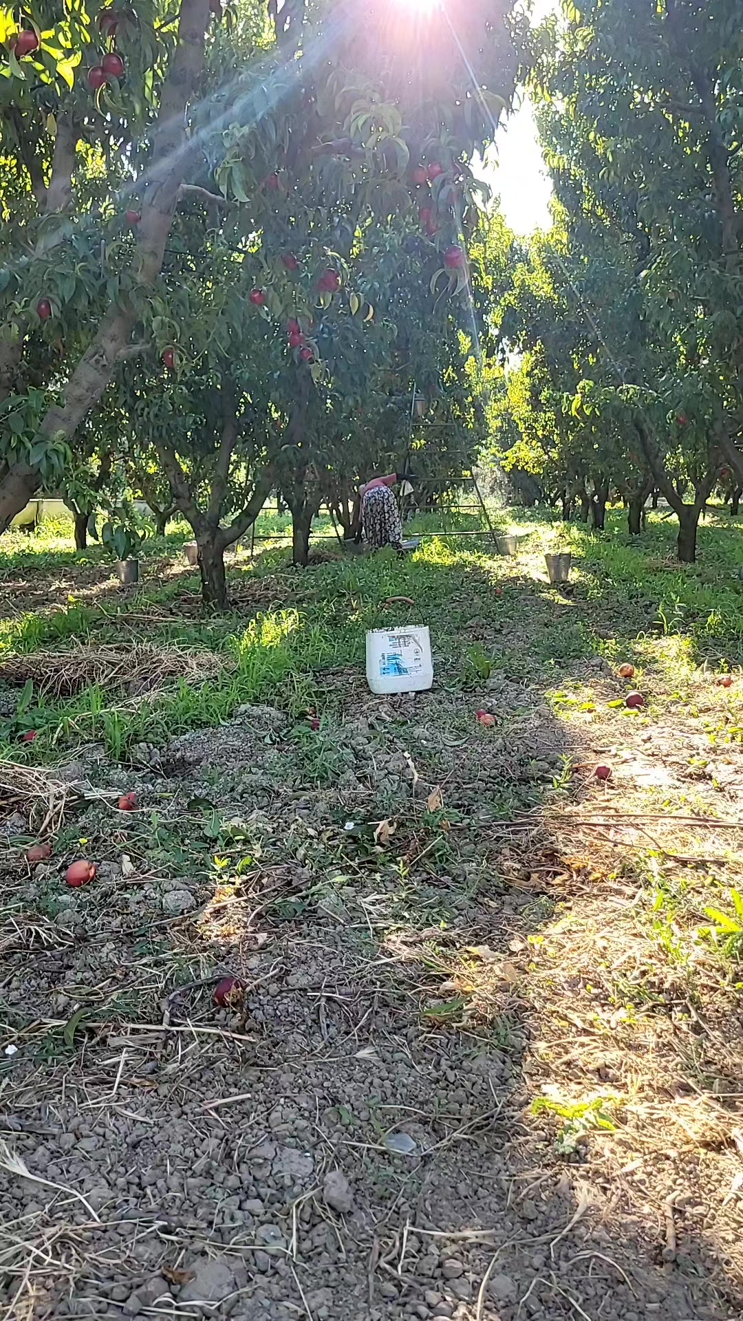 @🇹🇷🤘🇹🇷💛B&Ouml;RTE💙🇹🇷🤘🇹🇷