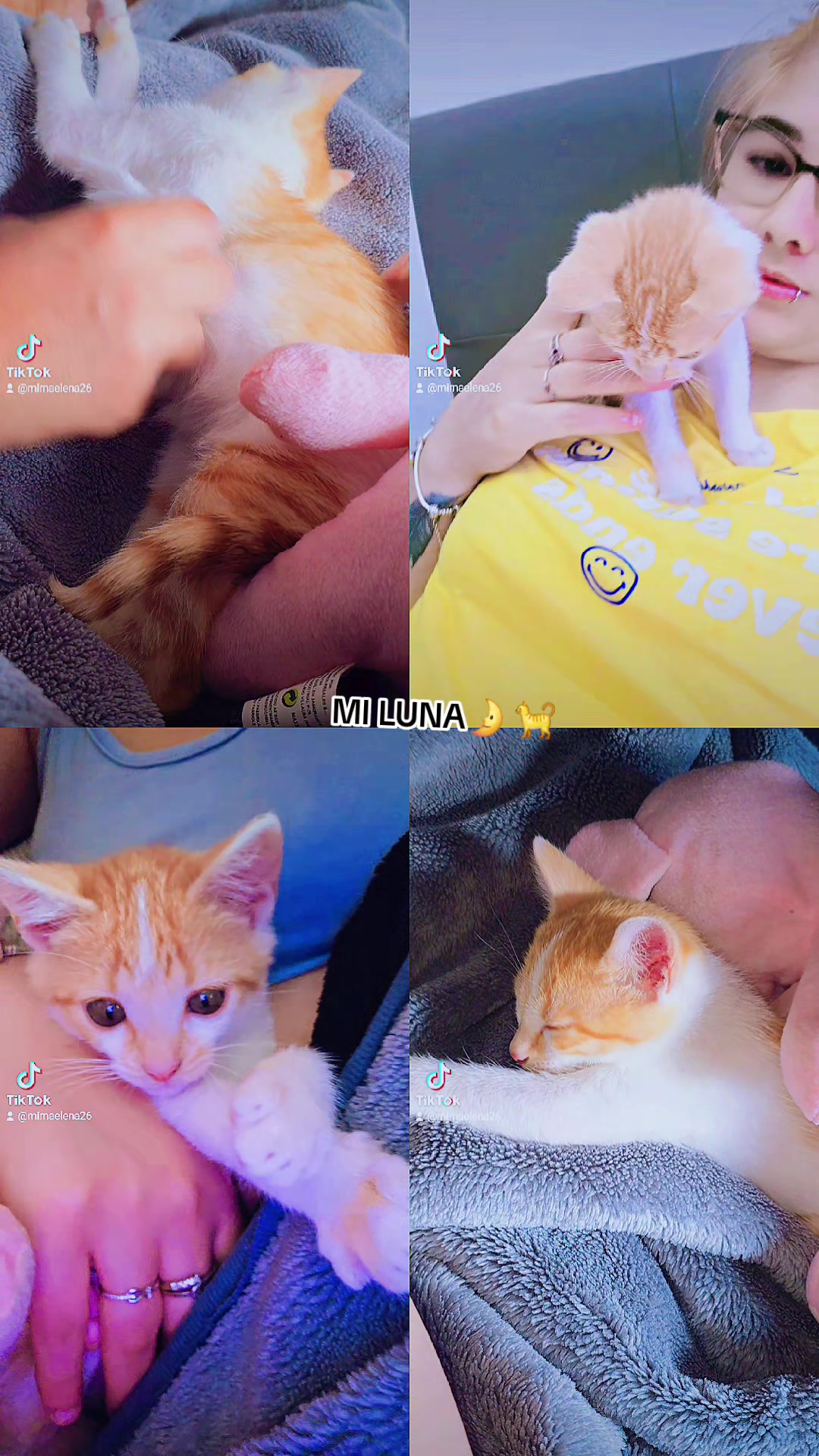 @Mirna🏳️🌈👑🌛🐈🕷♥️♠️🧸🐼🆎️