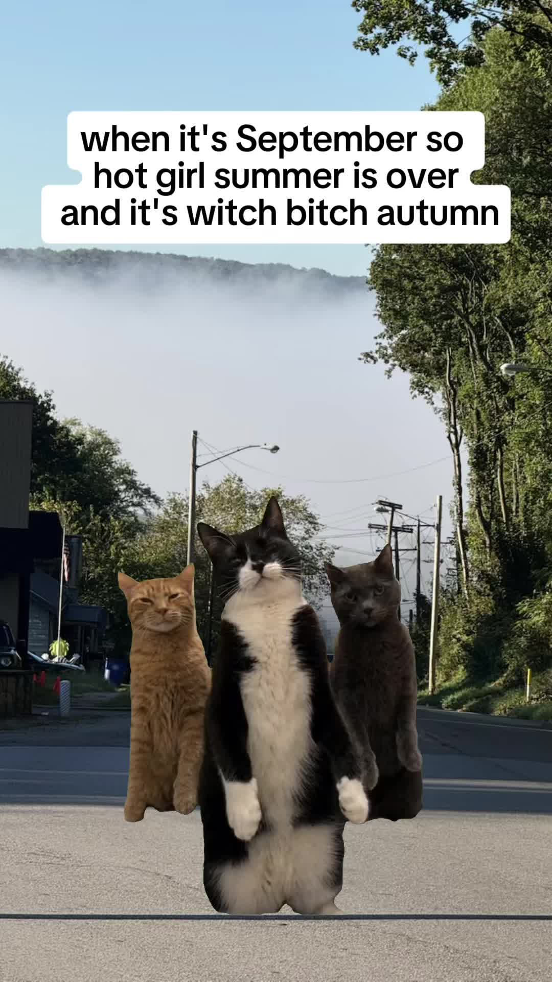 @🫶🏼𝕂𝕚𝕂𝕚🫶🏼