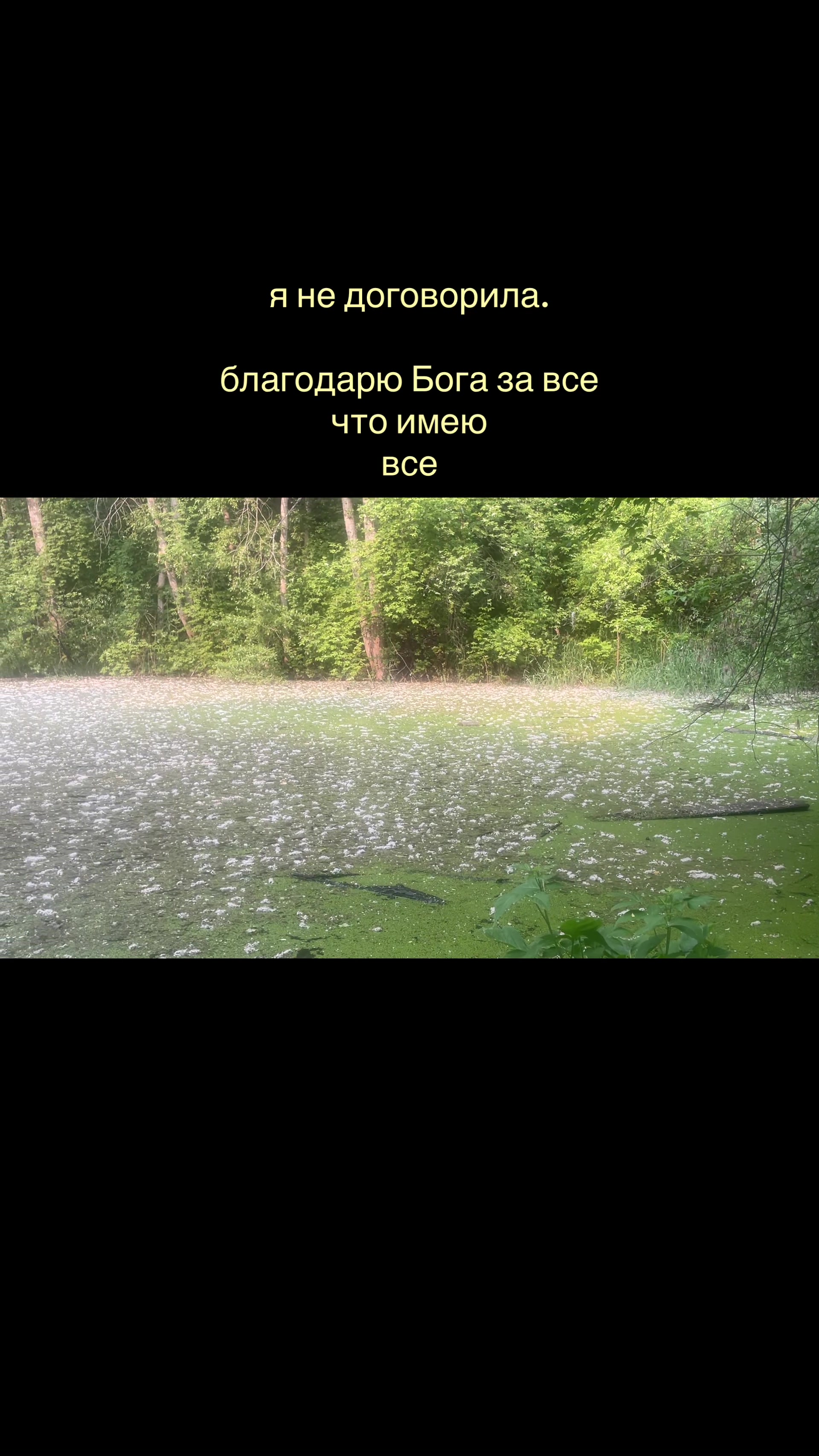 @alaskaqqe