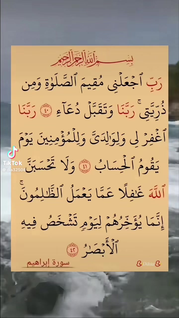 @الاسسسود ابوسند
