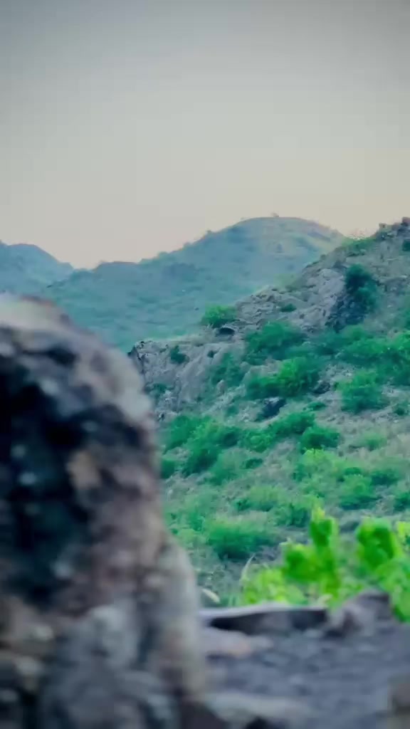 @😘 JANI 🇶🇦