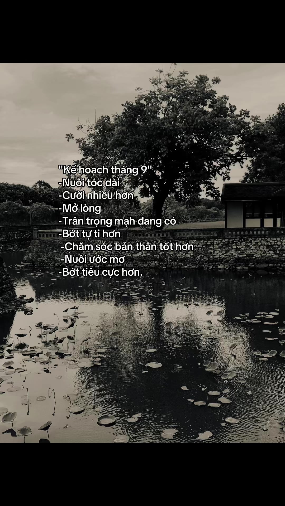 @𝓜𝓲𝓷𝓱 𝓒𝓱𝓲ế𝓷