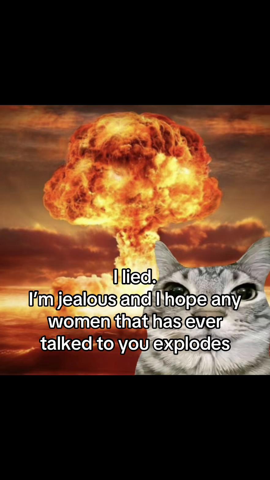 @LavanderCat
