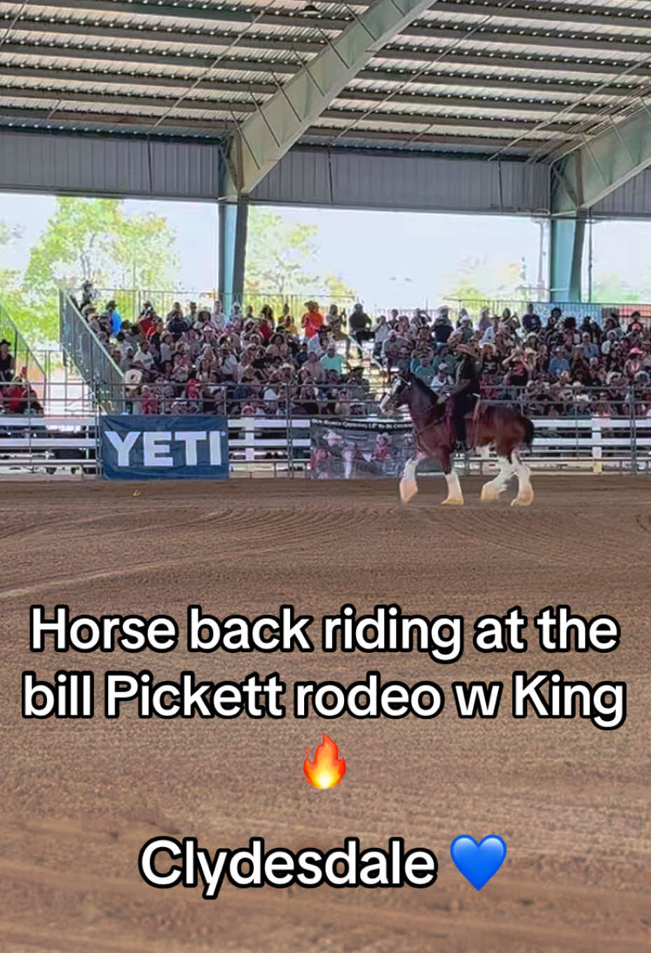 @Cowboy Loochie 🐎