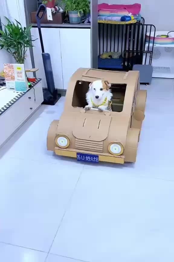 @Funny