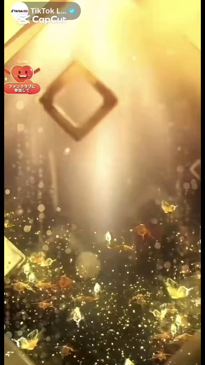 @ใฟใฟ๐ค๐๐ฆ๐จ