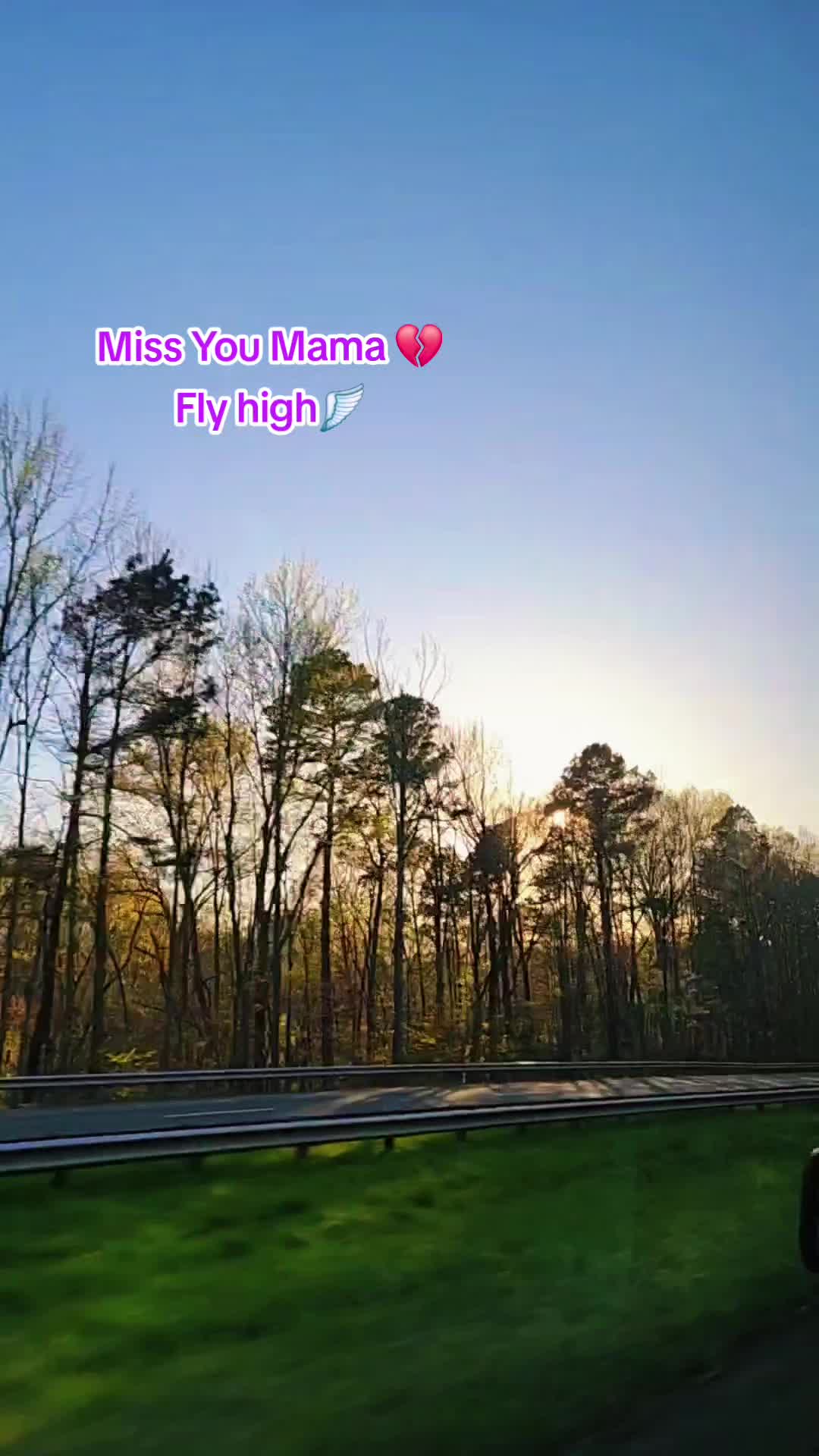 @✨️💕Chantel 💕✨️