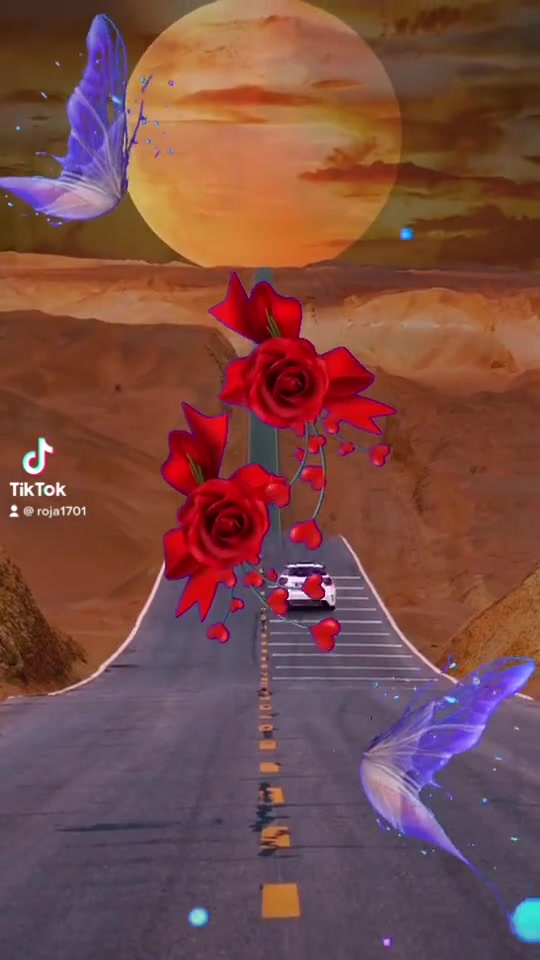 @🇨🇦🍁ℛ𝒪👁️🌹👁️𝒥𝒜🍁🇨🇦