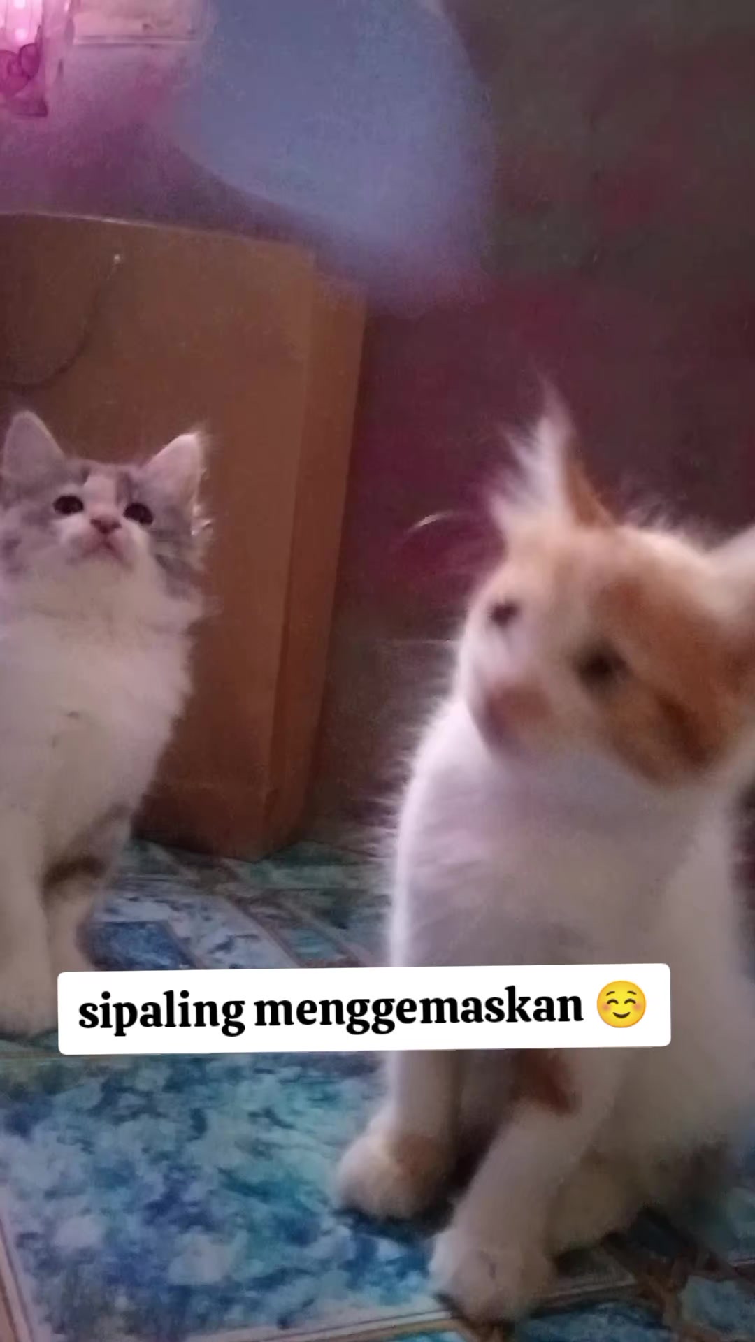 @Lina herlina