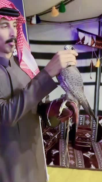@﮼نآيف ﮼بن ﮼نآصر