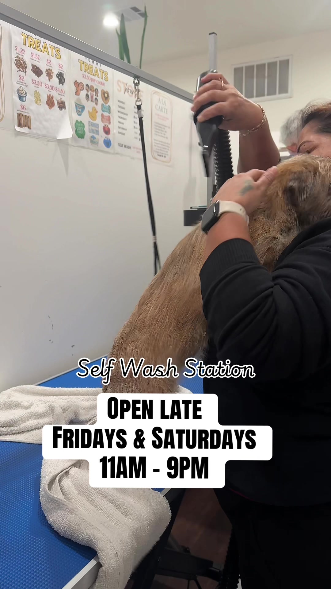 @dogwashla