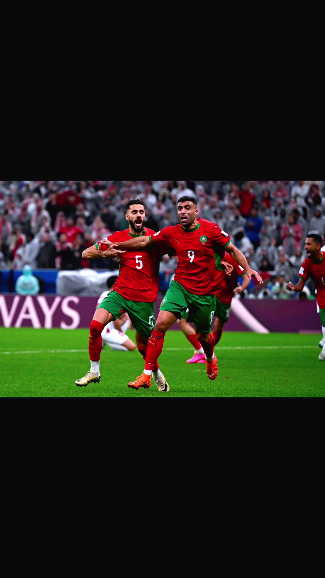 @🇲🇦 Moroccan Lion 🦁