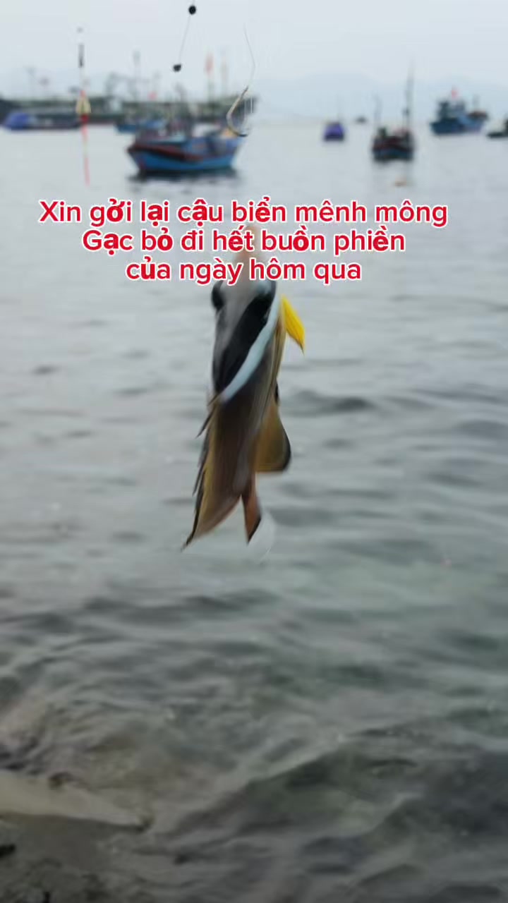 @câu cá Nha Trang