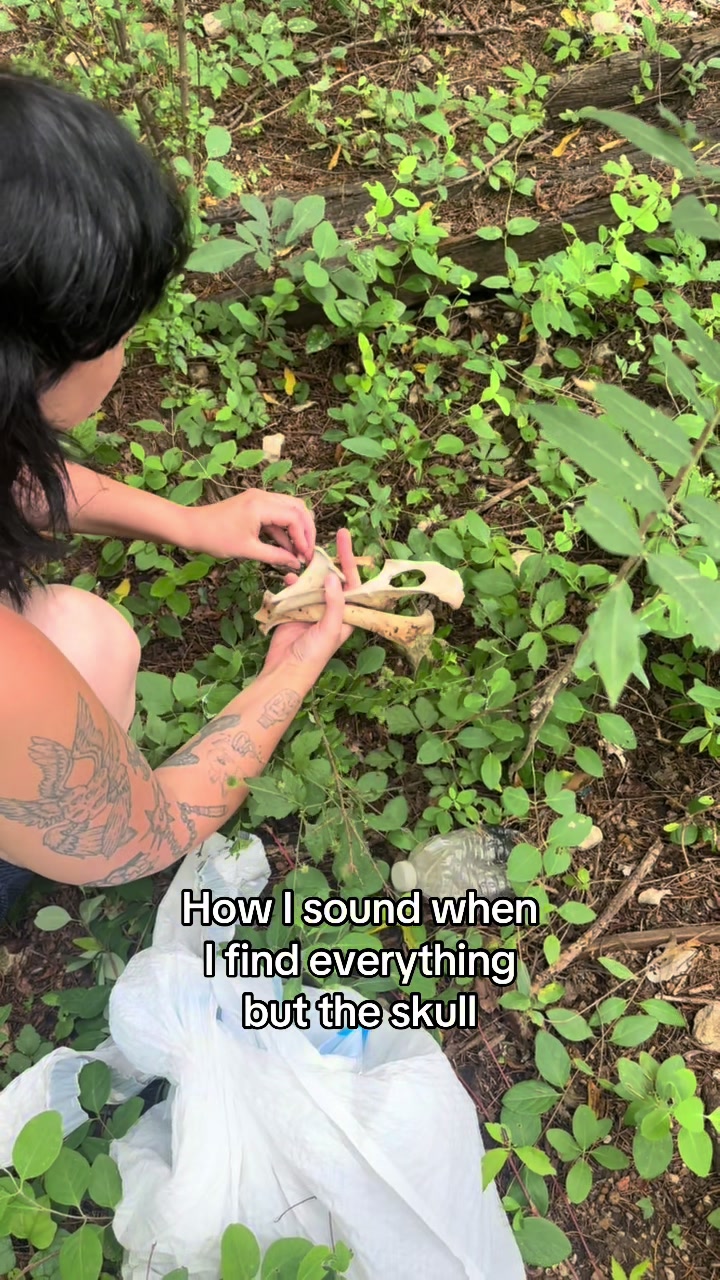 @Closet&ensp;Of&ensp;Skeletons