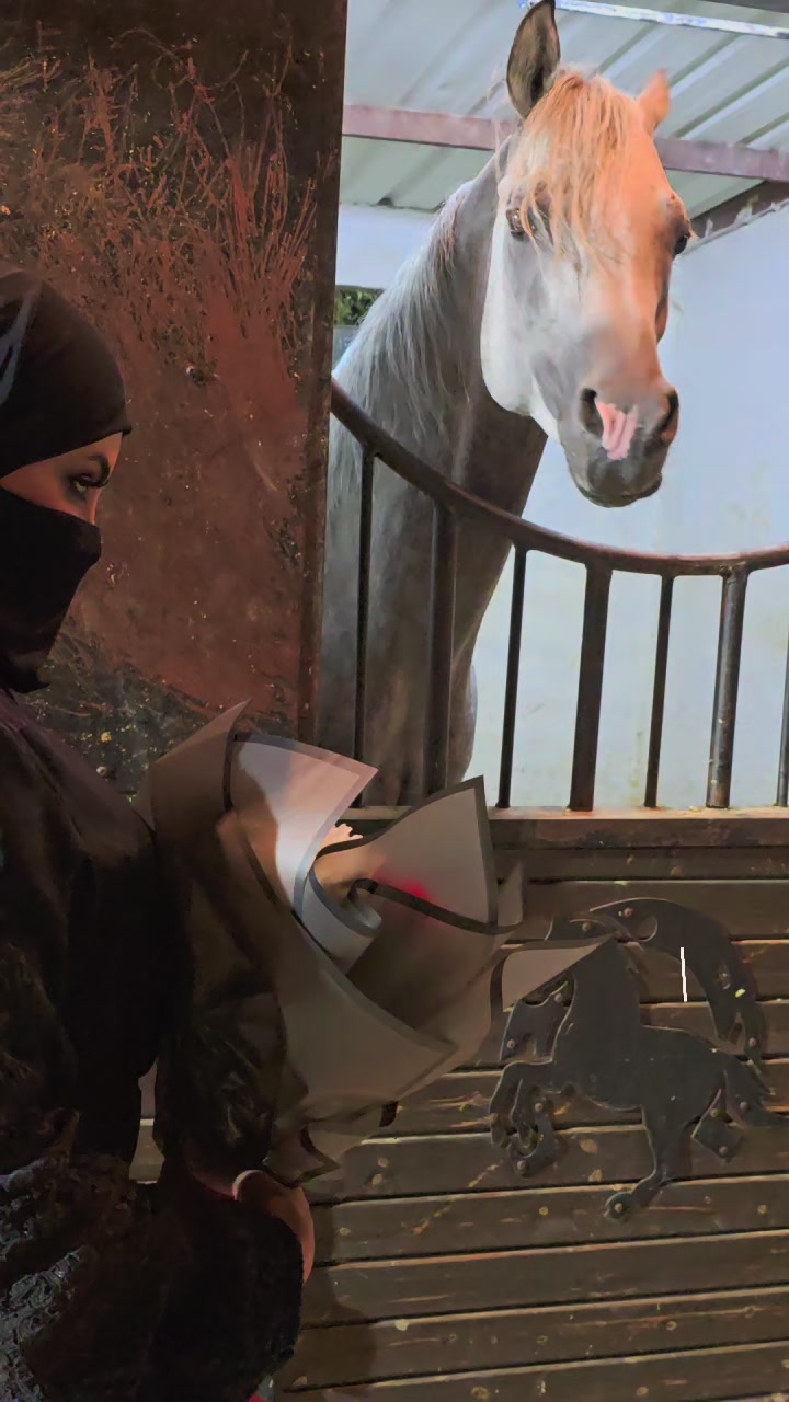 @الفارسة الملثمة 🐎🥷