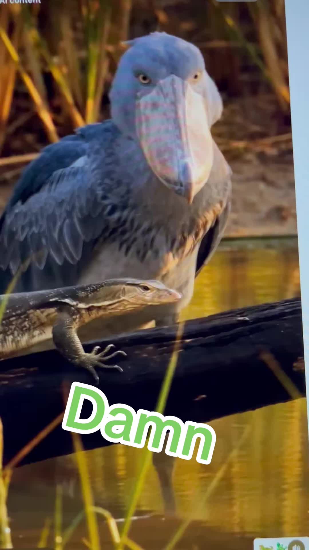 @WiseGize